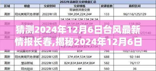 揭秘2024年12月6日臺(tái)風(fēng)最新動(dòng)態(tài)，長(zhǎng)春備戰(zhàn)，臺(tái)風(fēng)預(yù)警與應(yīng)對(duì)措施全解析