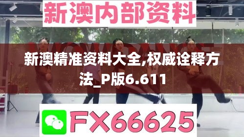 新澳精準(zhǔn)資料大全,權(quán)威詮釋方法_P版6.611
