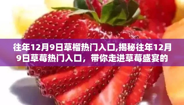 揭秘往年12月9日草莓熱門入口，盛宴開啟，帶你走進(jìn)甜美世界！