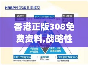 香港正版308免費(fèi)資料,戰(zhàn)略性方案優(yōu)化_3K19.405