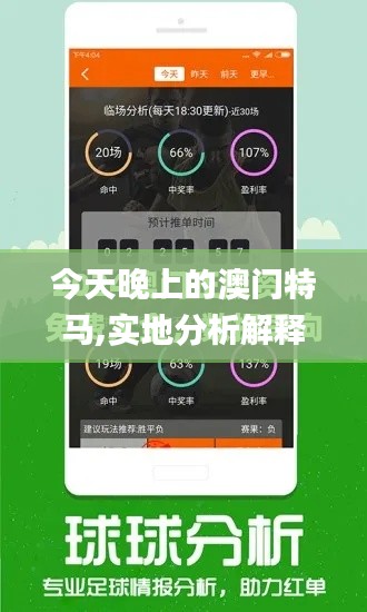 今天晚上的澳門特馬,實(shí)地分析解釋定義_蘋果版5.716
