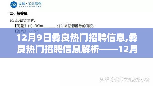 12月9日彝良熱門(mén)招聘信息精選概覽