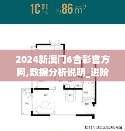 2024新澳門6合彩官方網(wǎng),數(shù)據(jù)分析說明_進階款9.575