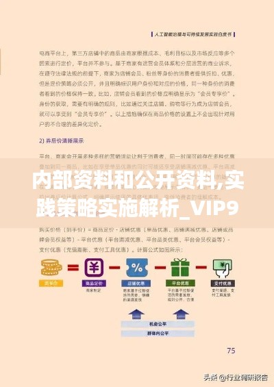 內(nèi)部資料和公開(kāi)資料,實(shí)踐策略實(shí)施解析_VIP9.751