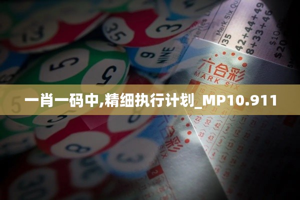 一肖一碼中,精細(xì)執(zhí)行計劃_MP10.911