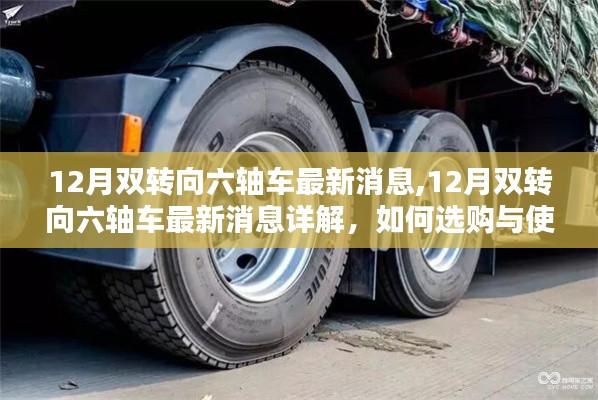 12月雙轉(zhuǎn)向六軸車最新動態(tài)及選購操作指南
