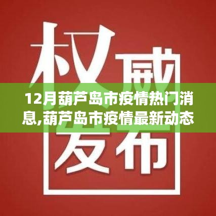 葫蘆島市疫情最新動態(tài)解讀，十二月熱門消息聚焦