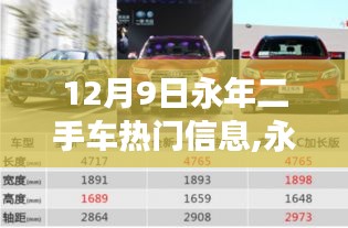 揭秘永年二手車市場最新動向，熱門高科技二手車發(fā)布及新動向解析