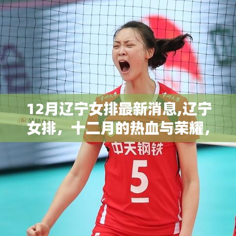 遼寧女排十二月的榮耀之路，熱血鑄就排球界璀璨傳奇