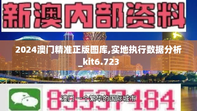 2024澳門精準(zhǔn)正版圖庫,實(shí)地執(zhí)行數(shù)據(jù)分析_kit6.723
