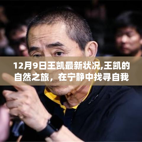 王凱的寧靜自然之旅，探尋自我與自然的和諧共鳴的最新動態(tài)（12月9日更新）