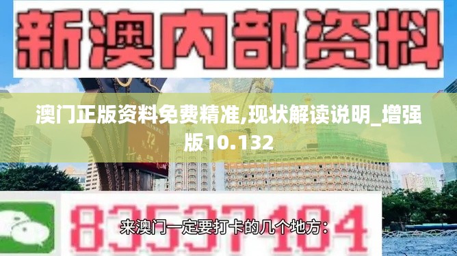 澳門正版資料免費(fèi)精準(zhǔn),現(xiàn)狀解讀說(shuō)明_增強(qiáng)版10.132