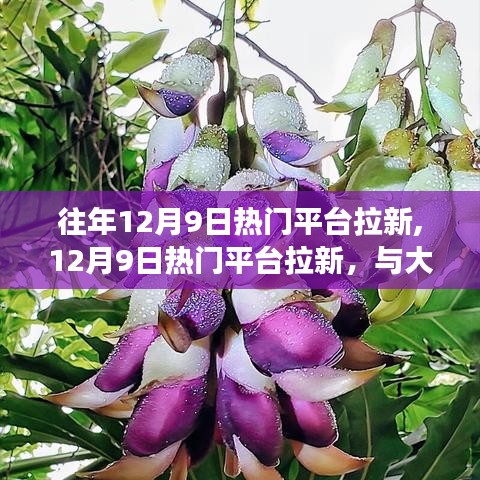 12月9日熱門平臺拉新日，與自然共舞，心靈旅行的啟航時刻