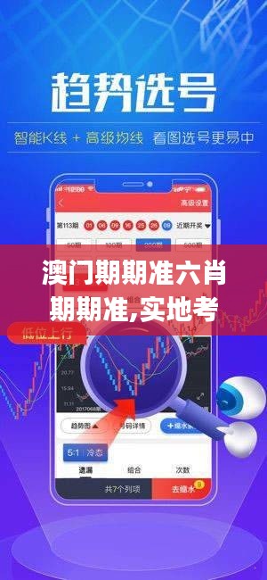 澳門期期準(zhǔn)六肖期期準(zhǔn),實(shí)地考察數(shù)據(jù)策略_bundle3.274