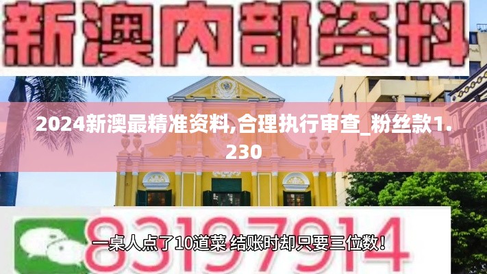 2024新澳最精準(zhǔn)資料,合理執(zhí)行審查_粉絲款1.230