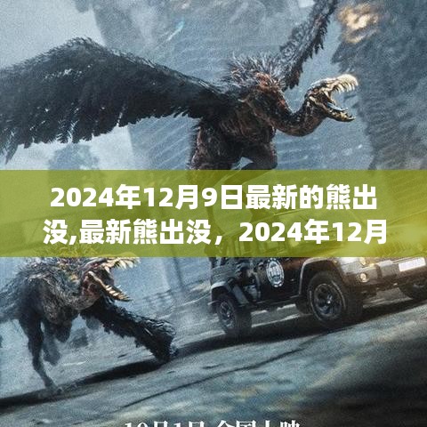 深度解析，最新熊出沒(méi)探險(xiǎn)之旅 2024年12月9日獨(dú)家揭秘