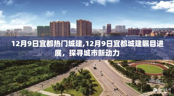 鶴立雞群 第5頁(yè)