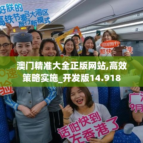 澳門精準(zhǔn)大全正版網(wǎng)站,高效策略實施_開發(fā)版14.918