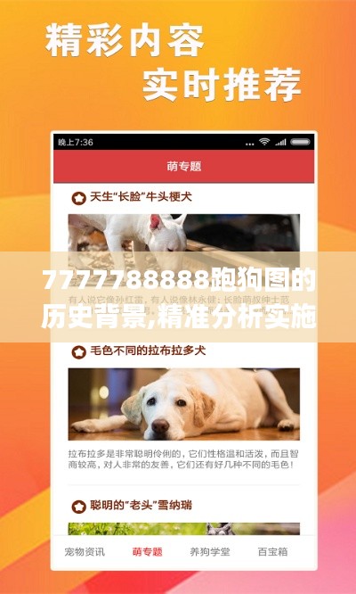 7777788888跑狗圖的歷史背景,精準(zhǔn)分析實施步驟_限定版10.476
