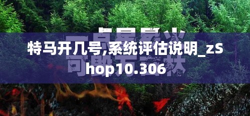 特馬開幾號,系統(tǒng)評估說明_zShop10.306