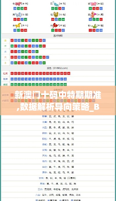 新澳門十碼中特期期準,數(shù)據(jù)解析導(dǎo)向策略_BT13.540