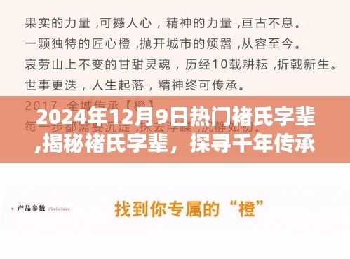 揭秘?zé)衢T褚氏字輩，千年傳承一覽，2024年12月9日熱門榜單揭曉