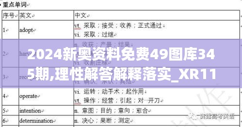 2024新奧資料免費(fèi)49圖庫345期,理性解答解釋落實(shí)_XR110.267