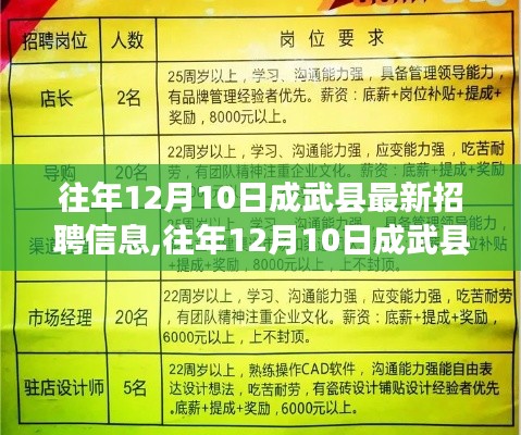 往年12月10日成武縣最新招聘信息深度解析，特性體驗(yàn)、競爭分析與用戶洞察報(bào)告