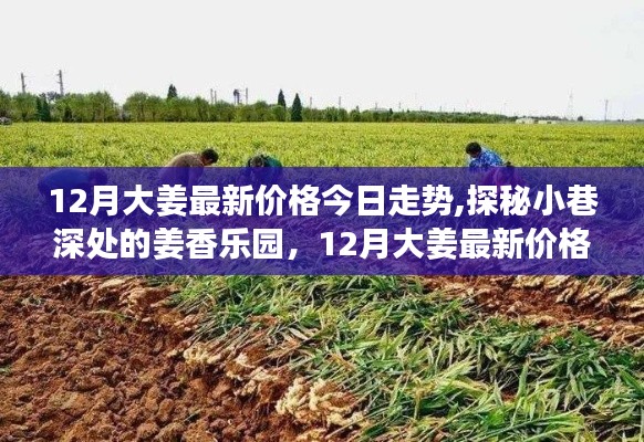 美如冠玉 第4頁(yè)