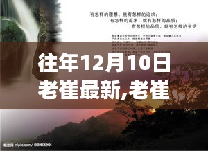 老崔的冬日自然探秘之旅，尋找內(nèi)心的寧靜與自然的魔法力量