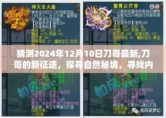 刀哥的新征途，探尋自然秘境，尋找心靈寧?kù)o與樂(lè)趣（最新預(yù)測(cè)2024年12月10日）