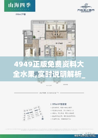 4949正版免費(fèi)資料大全水果,實(shí)時(shí)說明解析_soft3.632