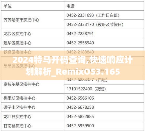 2024特馬開碼查詢,快速響應(yīng)計劃解析_RemixOS3.165