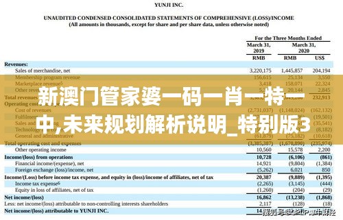 新澳門管家婆一碼一肖一特一中,未來規(guī)劃解析說明_特別版3.749