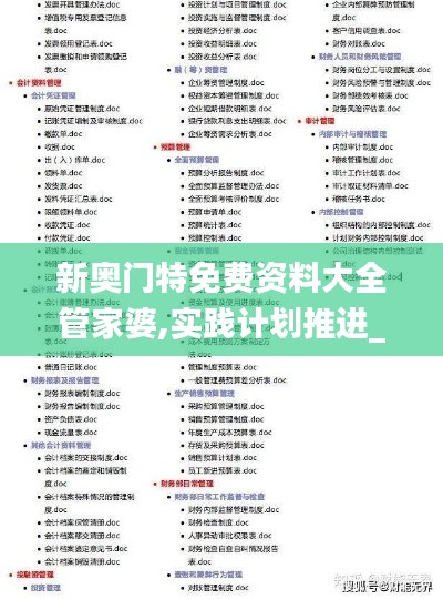 新奧門特免費資料大全管家婆,實踐計劃推進(jìn)_定制版8.101