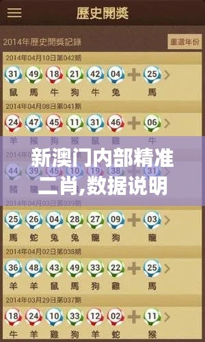 新澳門(mén)內(nèi)部精準(zhǔn)二肖,數(shù)據(jù)說(shuō)明解析_watchOS7.439