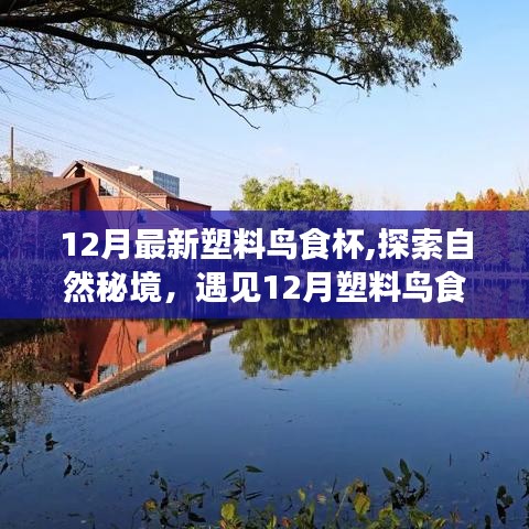 探索自然秘境，遇見奇妙的塑料鳥食杯之旅，尋找內(nèi)心的寧靜與平和