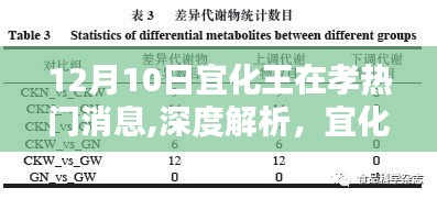 宜化王在孝產(chǎn)品深度解析與評(píng)測，產(chǎn)品特性、用戶體驗(yàn)與目標(biāo)用戶群體分析——最新熱門消息速遞
