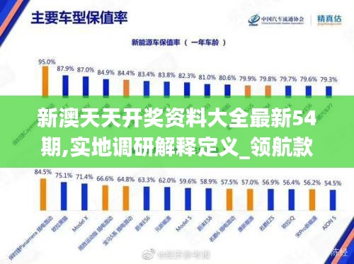 新澳天天開獎(jiǎng)資料大全最新54期,實(shí)地調(diào)研解釋定義_領(lǐng)航款8.216
