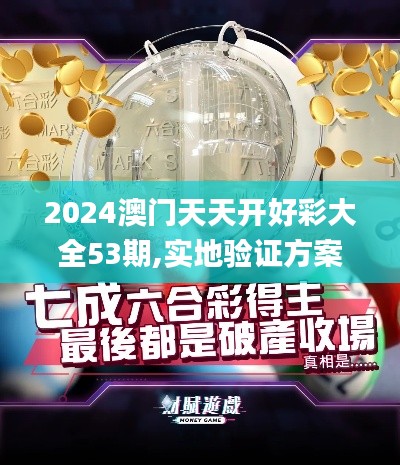 2024澳門天天開(kāi)好彩大全53期,實(shí)地驗(yàn)證方案策略_MR2.377