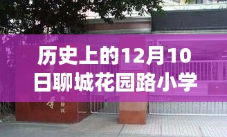 聊城花園路小學，溫馨冬日里的日常趣事與歷史印記
