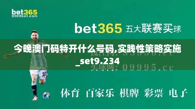 今晚澳門碼特開什么號碼,實(shí)踐性策略實(shí)施_set9.234