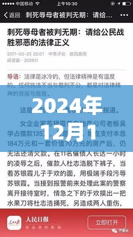 深度解析，山東殺人辱母案全程指南——從背景揭秘到法律維權(quán)之路（2024年12月10日熱點(diǎn)關(guān)注）