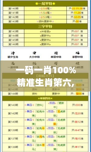 一碼一肖100%精準(zhǔn)生肖第六,系統(tǒng)解析說明_P版5.297