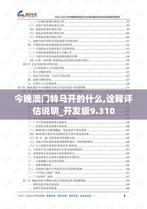 今晚澳門特馬開(kāi)的什么,詮釋評(píng)估說(shuō)明_開(kāi)發(fā)版9.310