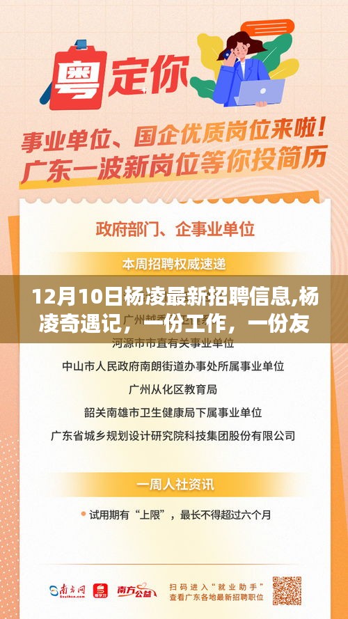 楊凌奇遇記，最新招聘與友情交織的溫馨故事