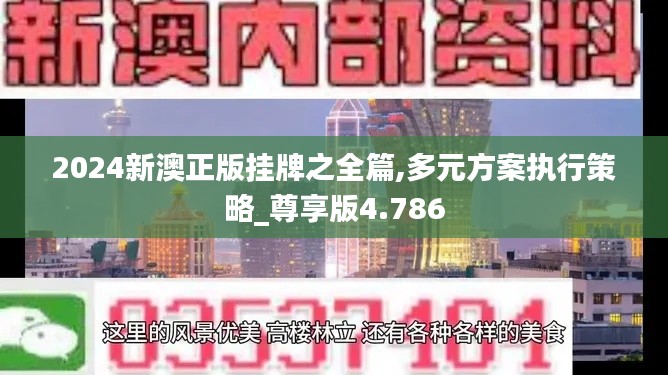 2024新澳正版掛牌之全篇,多元方案執(zhí)行策略_尊享版4.786