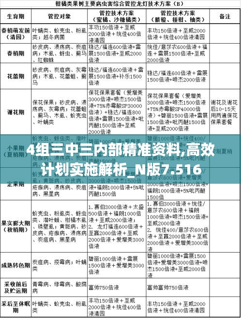 4組三中三內(nèi)部精準(zhǔn)資料,高效計(jì)劃實(shí)施解析_N版7.516