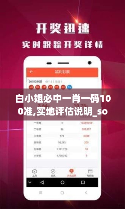 白小姐必中一肖一碼100準(zhǔn),實(shí)地評估說明_soft1.107