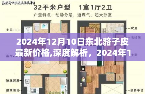 2024年12月10日東北貉子皮最新價格深度解析，價格、特性、用戶體驗與目標(biāo)用戶群體分析